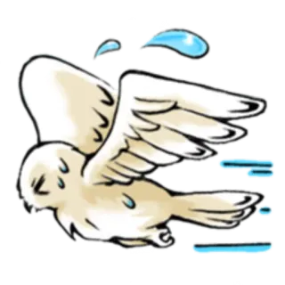 🛬 bird, sad, tears, crying, white, animal, flying telegram sticker