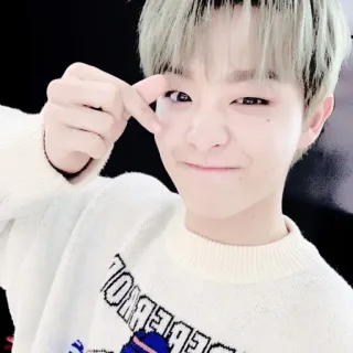 🐼 k-pop, 男性, 人物, 微笑, 手势, 可爱 telegram sticker