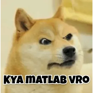 😤 KYA MATLAB VRO doge, chó, meme, hài hước, bối rối, tiếng Hindi telegram sticker
