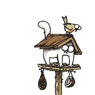 😖 cat, bird, cartoon, house, funny whatsapp sticker