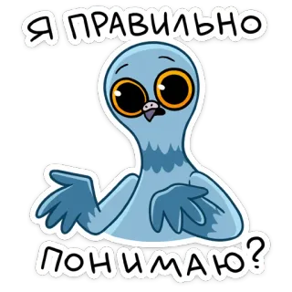 🤔 Я ПРАВИЛЬНО ПОНИМАЮ? นก, นกพิราบ, คำถาม, สับสน, สติกเกอร์, มีม telegram sticker