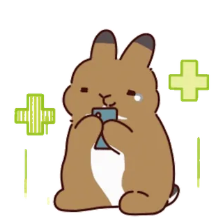 ๐ฅฐ usagi usagi and kame telegram sticker