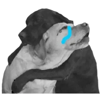 😭 hunde, tiere, weinen, traurig, emotion, umarmung, freundschaft telegram sticker