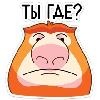 🔍 ТЫ ГДЕ? animal, dessin animé, question, triste, où es-tu, nasique telegram sticker