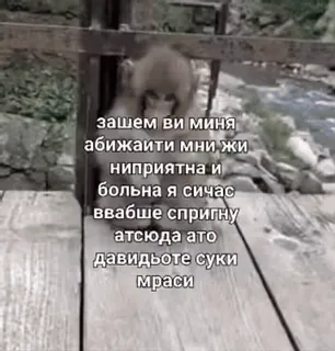 🌟 зашем ви миня
абижаити мни жи
ниприятна и
больна я сичас
ввабше спригну
атсюда ато
Давидьоте суки
мраси whatsapp sticker