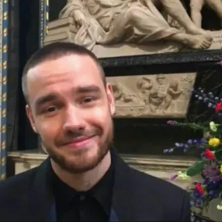 🥀 Liam Payne persona, celebridad, retrato, hombre telegram sticker