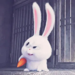 🍧 Snowball The Secret Life of Pets Boule de neige, Lapin nain, Lapin, Comme des bêtes, Dessin animé, Animal whatsapp sticker