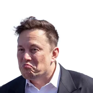 🤨 Elon Musk elon musk, entrepreneur, business, technology, ceo telegram sticker