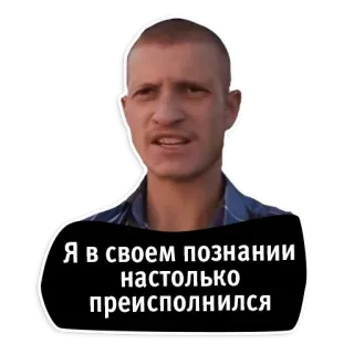 🙈 Я в своем познании настолько преисполнился telegram sticker