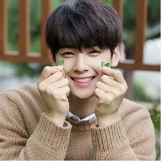 ❤️ acteur, coréen, beau, homme, sourire whatsapp sticker