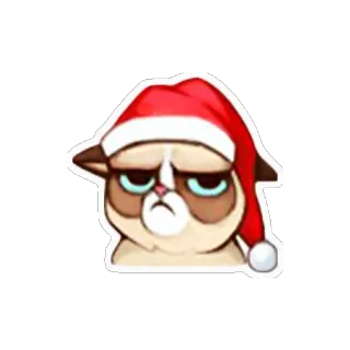 😞 Grumpy Cat 猫, 不機嫌, クリスマス, サンタ帽子, ミーム, ホリデー telegram sticker