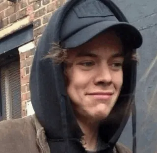 💞 Harry Styles นักร้อง, คนดัง, แฮร์รี่ สไตลส์, ภาพเหมือน telegram sticker
