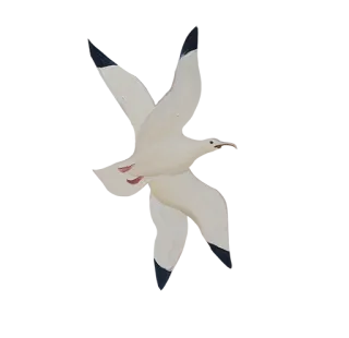 🐦 bird, seagull, flying, white, animal, sea bird telegram sticker