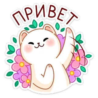 👋 ПРИВЕТ кот, цветок, русский, привет, приветствие telegram sticker