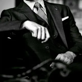 🕳 garnitur, moda, styl, moda męska, strój formalny, krawat, biznes, portret telegram sticker