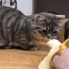 🍌