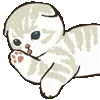 🐱