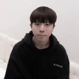 🐮 BLF001BE homme, portrait, sweat à capuche, décontracté, personne telegram sticker