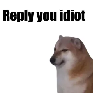🎭 Reply you idiot 개, 밈, 웃긴, 인터넷 telegram sticker