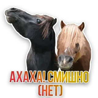 🐴 АХАХА! СМЕШНО (НЕТ) horse, animal, funny, meme, sticker, animals telegram sticker