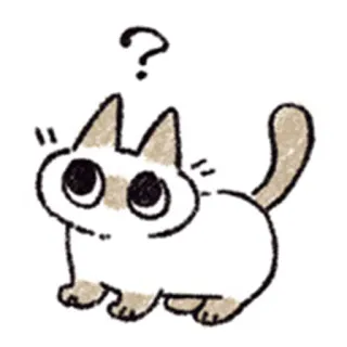 ❓ kucing, pertanyaan, lucu, hewan, gambar whatsapp sticker