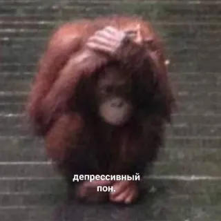 пон от @gifbyfleksid :: @fStikBot telegram stickers