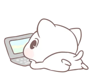🐱 猫, 笔记本电脑, 电脑, 可爱, 动物 telegram sticker