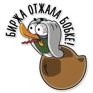 😵 БИРЖА ОТЖАЛА БОБКИ! kaczka, kreskówka, wyczerpany, zwierzę, humor telegram sticker
