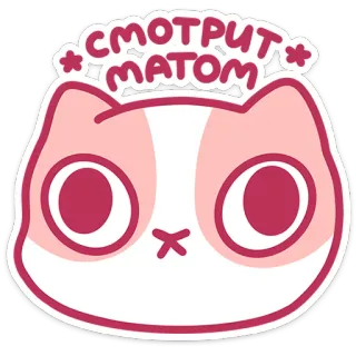 😳 СМОТРИТ МАТОМ cat, sticker, cute, animal, cartoon telegram sticker