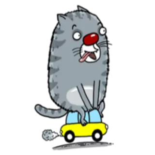 🚘 고양이, 차, 만화, 웃긴, 동물, 스티커 telegram sticker