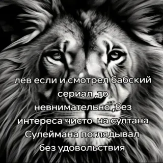 😫 лев если и смотрел бабский
сериал, тO
невнимательно, без
интереса чисто на султана
Сулеймана поглядывал
без удовольствия león, sultán, serie, ruso, animal, interés telegram sticker