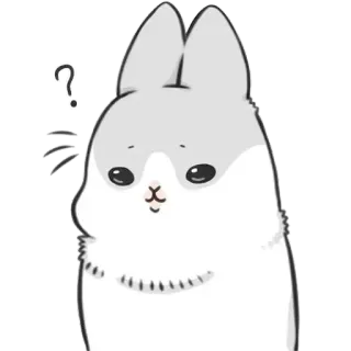 ✳️ kucing, pertanyaan, lucu, bingung, hewan, kawaii telegram sticker