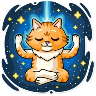 🧘‍♀️ gato, meditação, yoga, zen, espiritual, estrelas, animal, desenho animado, calma telegram sticker