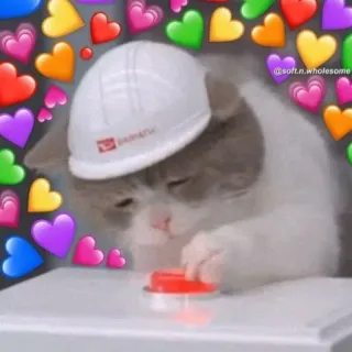 💜 @soft.n.wholesome cat, hearts, wholesome, cute, animal, sticker, love, pet telegram sticker