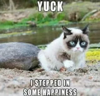 😁 Grumpy Cat YUCK
I STEPPED IN SOME HAPPINESS 猫, 暴躁, 梗, 搞笑, 幽默, 讽刺, 动物 whatsapp sticker