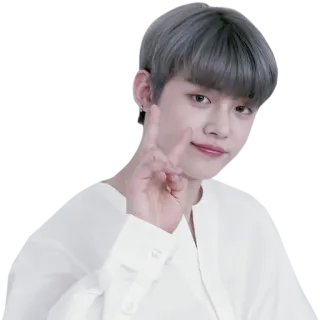 ✌️ kpop, chanteur, portrait, homme, asiatique telegram sticker