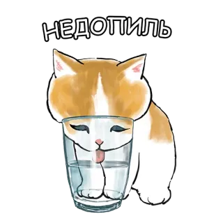 😋 НЕДОПИЛЬ 猫, 玻璃杯, 喝, 可爱, 动物 whatsapp sticker