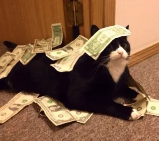 💵 telegram sticker