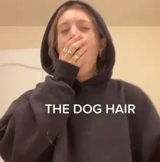 💘 THE DOG HAIR Hund, Haare, Kapuzenpullover, Person, Text telegram sticker