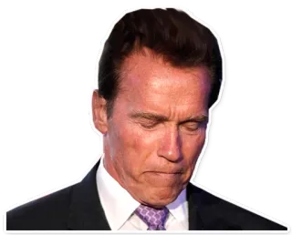 😥 Arnold Schwarzenegger actor, político, celebridad, gobierno telegram sticker
