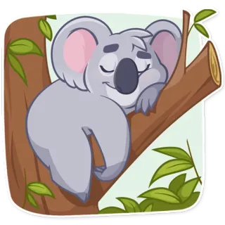 😴 koala, dormir, arbre, animal, dessin animé telegram sticker