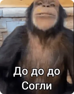 🌟 До до до Согли scimmia, scimmia antropomorfa, testo, russo, animale whatsapp sticker