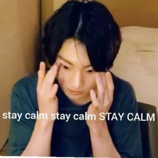 😄 stay calm stay calm STAY CALM 밈, 침착하게, 공황, 표정, 초상화 telegram sticker