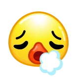 😮‍💨