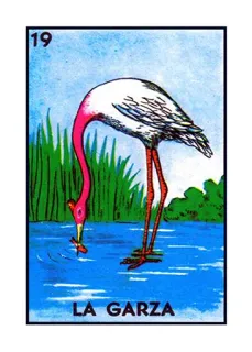 🦢 LA GARZA 로테리아, 왜가리, 왜가리, 새, 멕시코 카드, 전통적인 telegram sticker