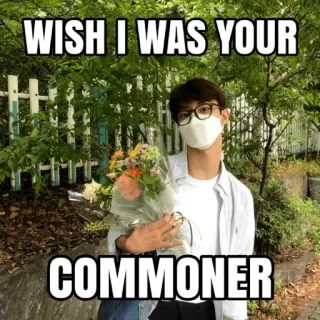 💔 WISH I WAS YOUR COMMONER meme, wish, commoner, flowers, bouquet telegram sticker