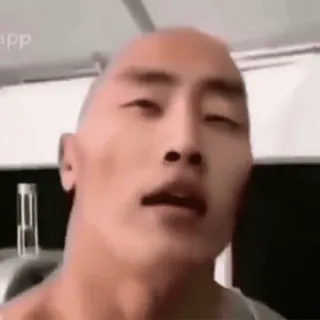 🇨🇳 dwayne johnson, the rock, acteur, mème, asiatique whatsapp sticker