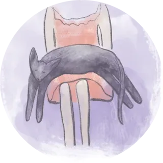 👍 gato, animal de estimação, sonolento, fofo, animal, ilustração whatsapp sticker