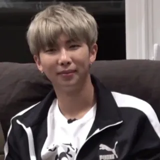 🦚 RM person, man, portrait, celebrity, singer, kpop telegram sticker