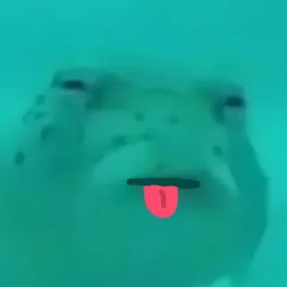 😝 лягушка, животное, язык, водный, смешной telegram sticker